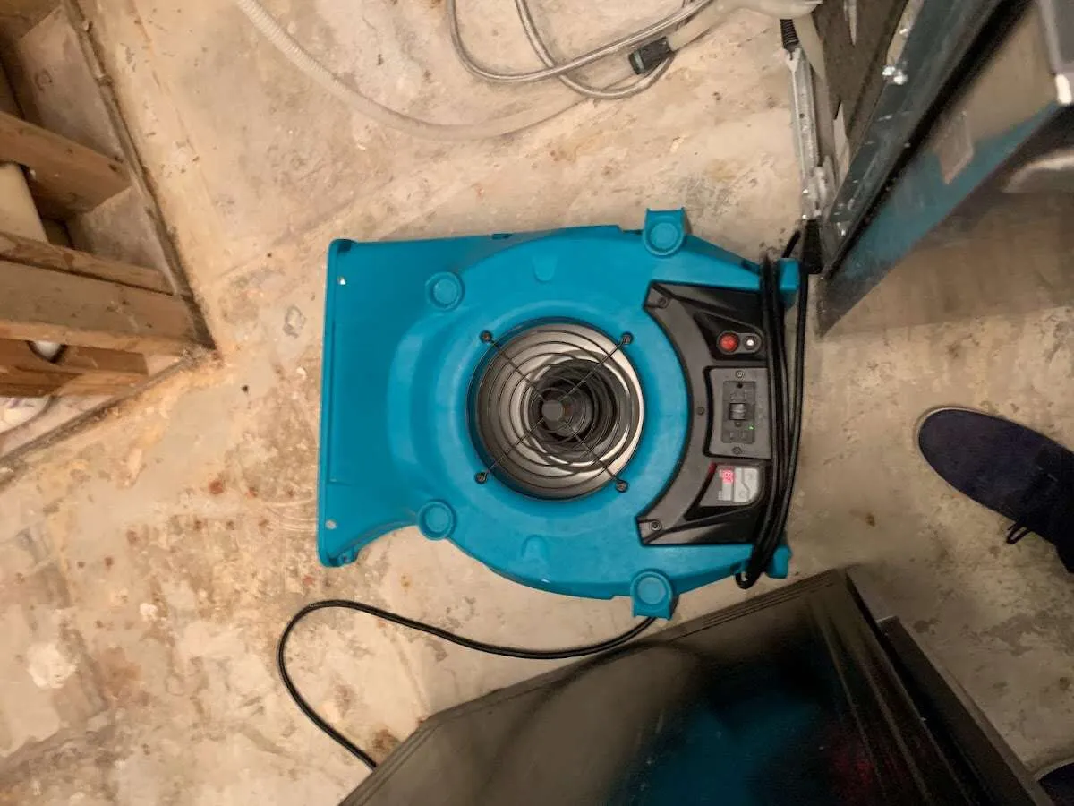 Air mover drying equipment for Mold Remediation & Removal in Haltom City